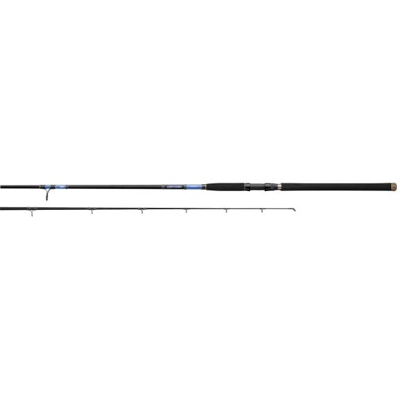 Daiwa Beefstick Surf Cast Rod