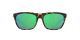 COSTA CHEECA SUNGLASSES