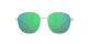 Costa Egret Sunglasses