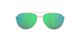 Costa Fernandina Sunglasses