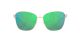 Costa Paloma Sunglasses