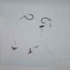 Snapper Rig 2 hooks