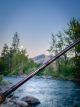Sea Run Spinning Rods