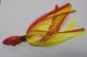 Texas Tormentor Jigs 6oz