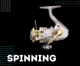 Spinning