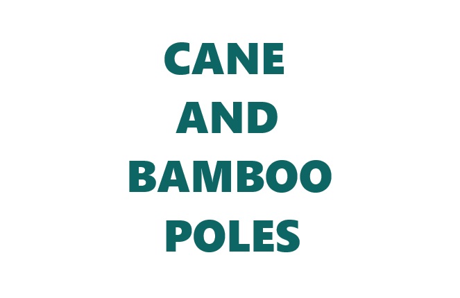 Cane and Bamboo Poles