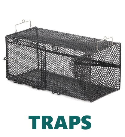 Traps